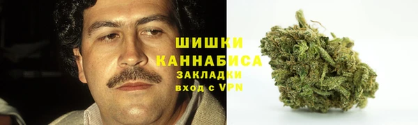СК Аркадак