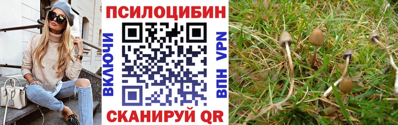 Псилоцибиновые грибы Cubensis  Ртищево 
